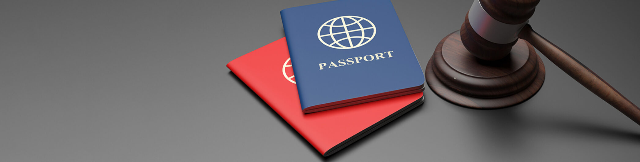 Lex Visas - Passport