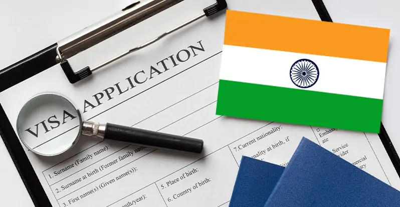 Why Immigration Consultants Are Essential for Corporate Visa Services - Lex Visas