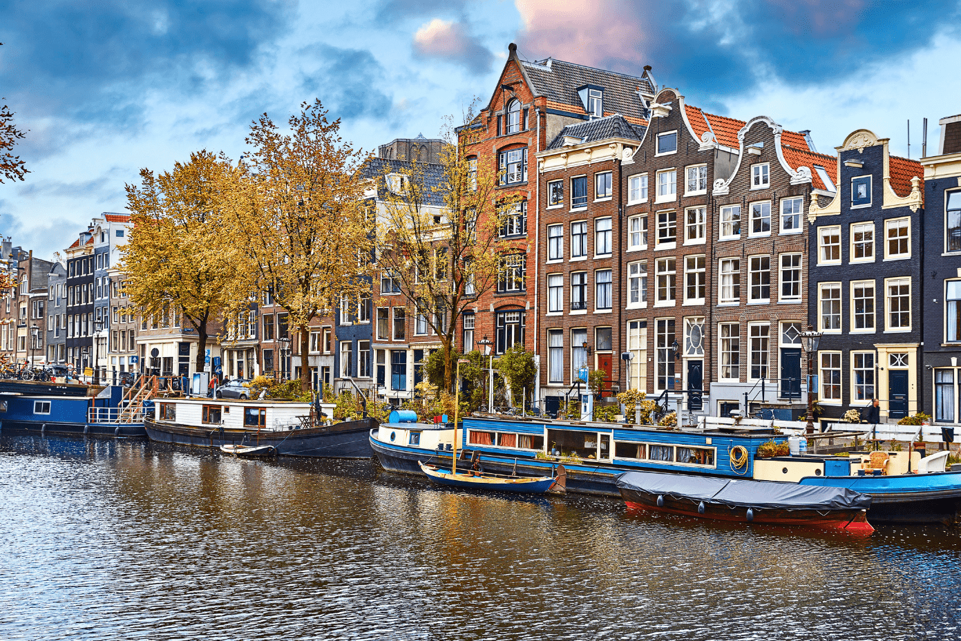 Netherlands Work Visa: Key Updates for Employers & Skilled Professionals | Lex Visas