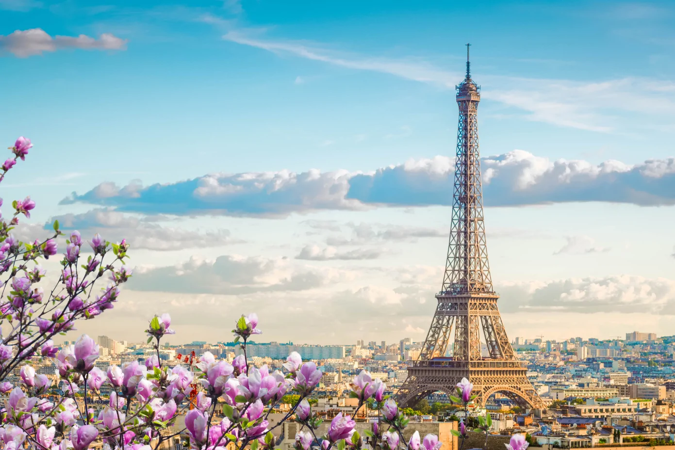 India France mobility 2026 showing Indian professionals relocating for work visa to France and global career opportunities